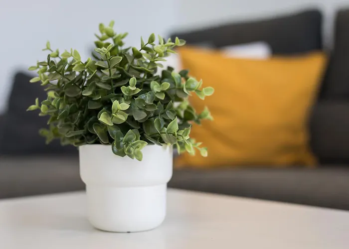 Barca Sunset Διαμέρισμα Lajita