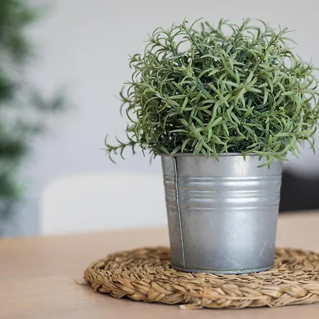 Appartement Barca Sunset Lajita