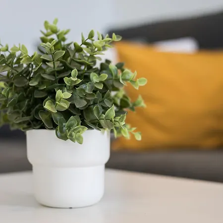 Barca Sunset 아파트 Lajita