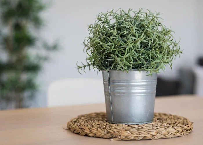 Apartment Barca Sunset Lajita